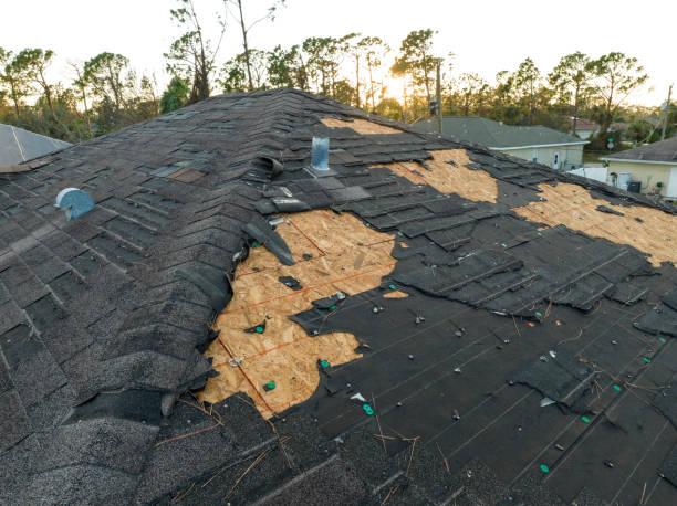 Best Chimney Flashing Repair  in Port Vue, PA