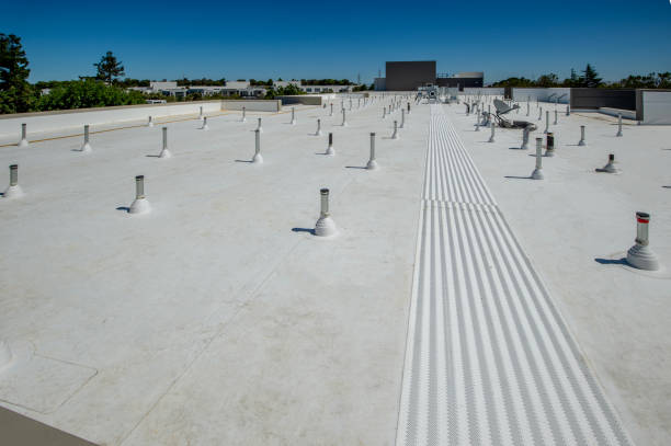 Best Green or Eco-Friendly Roofing Solutions  in Port Vue, PA